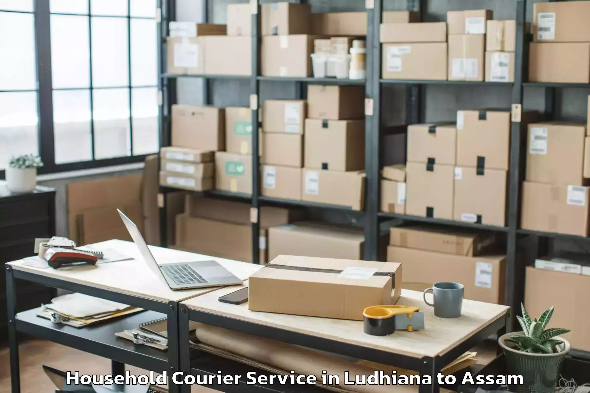 Book Ludhiana to Diphu Household Courier